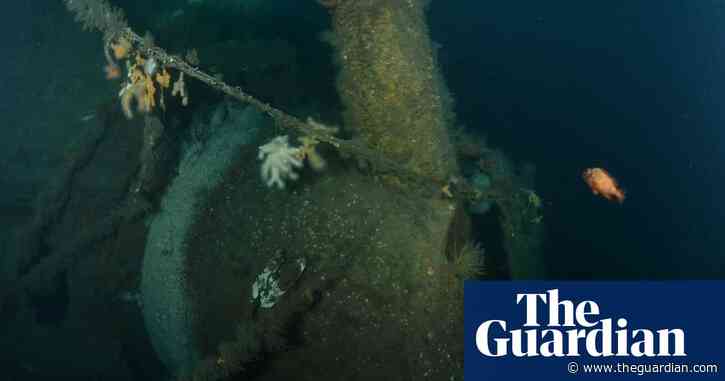 ‘Virtually intact’ wreck off Scotland believed to be Royal Navy warship torpedoed in first world war