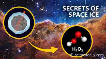 Extraterrestrial Chemistry: Are We Really Made of Stardust?