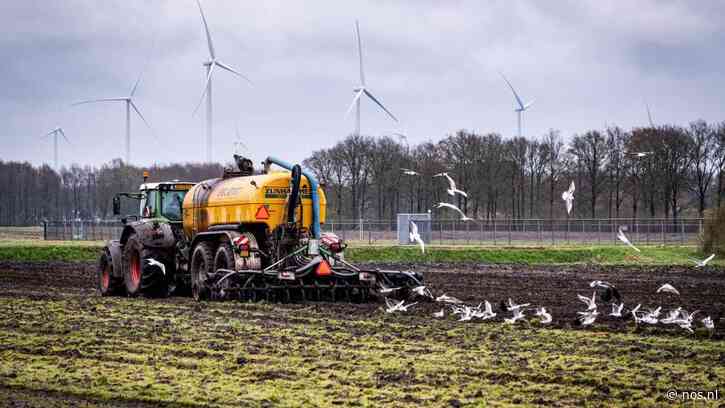 Boeren mogen toch mest uitrijden tijdens bezoek koningspaar aan Veere: 'Vergissing'