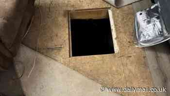 Cops find creepy trap door under remote trailer... but are astonished when they realize what's inside