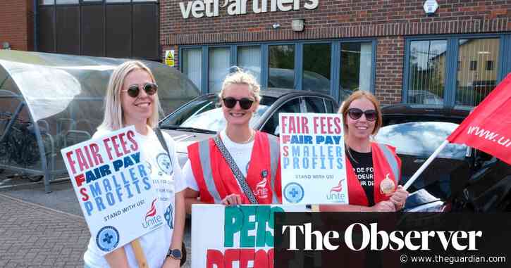 Vets extend strike in first industrial action to hit Britain’s pet-care sector