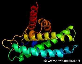 Strength training triggers key mechanisms for cellular waste clearance