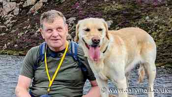 I've relocated to Shetland... because humans still man the phones at the local council