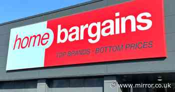 Home Bargains issues product recalls over safety fears - check full list here