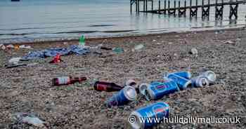 Quarter of UK population admits to littering as plastic pollution concerns rise, study finds