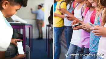 Cellphone bans in some states&apos; public schools take effect as experts point out pros and cons