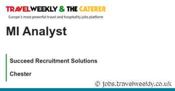 Succeed Recruitment Solutions: MI Analyst