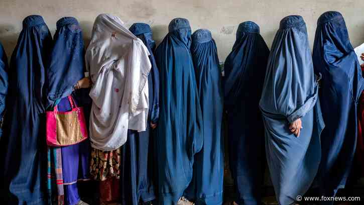 Taliban rebukes UN concerns over laws banning women's faces, voices in public