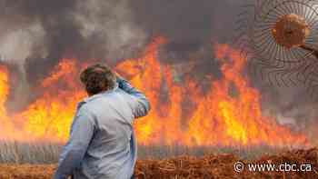 Brazil is on fire, and both crime and climate change are to blame