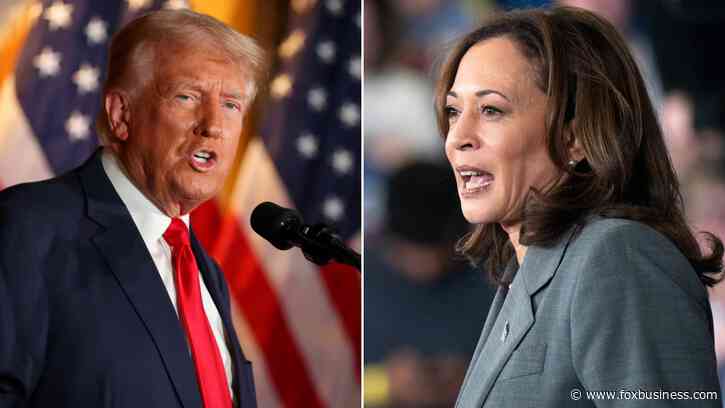 Trump, Harris spending plans could weigh on the US economy, analysis shows