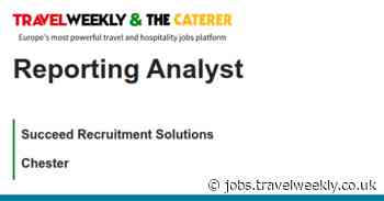 Succeed Recruitment Solutions: Reporting Analyst