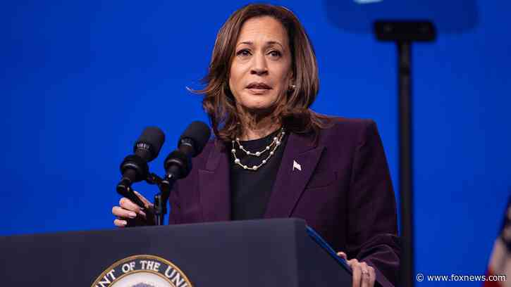 VP Harris shredded for claiming 'my values have not changed' amid policy flip-flops: 'Still a radical'