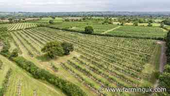 Bumper offering of farmland in South West now on market