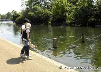 Pensioner, 82, fined £150 after she fed ducks in south west London