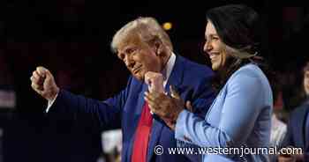 Tulsi Gabbard Reveals Her Reason for Joining Trump: 'This Is Personal'