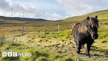 'Windiest part of the UK' could power nearly 500,000 homes