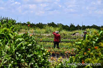 Experimental sensors aim to detect early signs of heatstroke and warn farmworkers