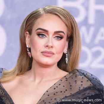 Adele confirms music hiatus