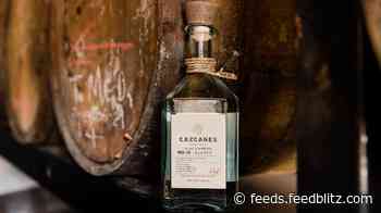 Add to Bar Cart: Cazcanes Tequila Makes Tradition-rooted Spirits Every Agave Lover Will Appreciate