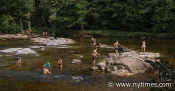 The Lure of New York’s Secret Swimming Holes