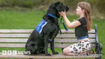 Support dogs charity gets go-ahead for new HQ