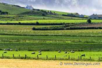 Nearly &#163;260 million in direct payments issued to NI farmers