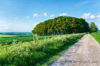 Vast majority of Brits value countryside access, poll shows