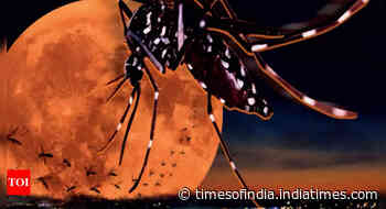 Higher temperatures lead to faster malaria transmission: Study