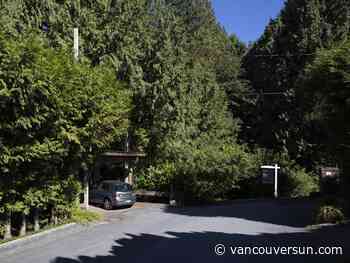 B.C. homeowner sues after his trees trimmed against his wishes