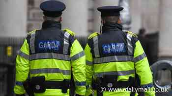 Irish police force's plan to deal with England fans in Dublin ahead of friendly amid concerns over THOUSANDS of ticketless supporters travelling to the city