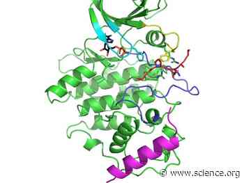 Structural and functional effects of phosphopriming and scaffolding in the kinase GSK-3β | Science Signaling