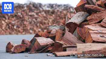 Firewood suppliers point finger at online 'black market' amid record supply glut