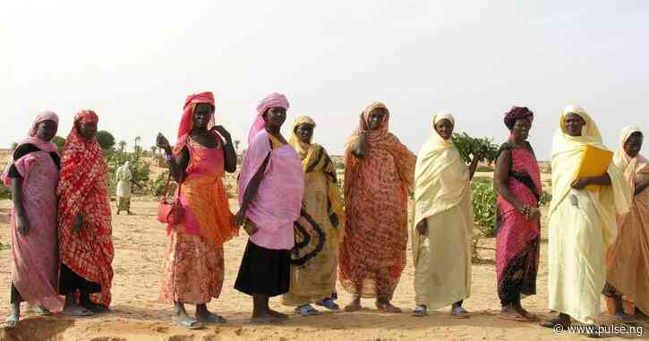 Divorced women market in Mauritania