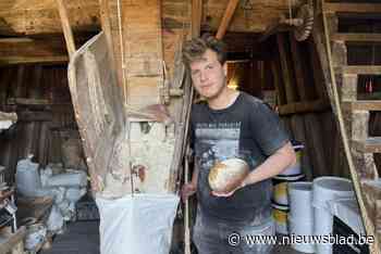 Primeur op Open Monumentendag: Molenbrood op de Keerbergse heimolen