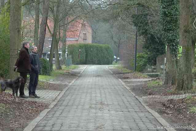 110 kastanjebomen in Mostheuvellaan Malle voorlopig behouden