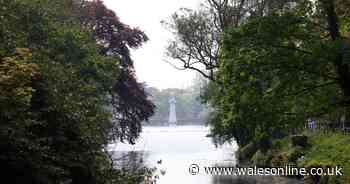 Police address rumours child was 'snatched' by man at popular Cardiff park