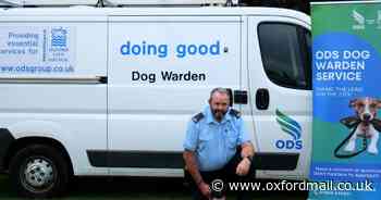 RSPCA awards gold standard to ODS for dog welfare work