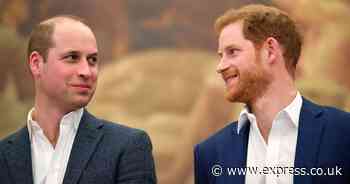 Prince Harry open to reconciliation with William after reunion at tragic event