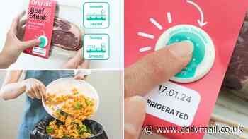 Forget 'best before' labels! Temperature-sensitive 'Bump Tag' reveals if your food is safe to eat in real-time - and could slash food waste by up to 63%