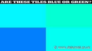 What's blue to you? Take the test to see how your colour perception compares to the rest of the population