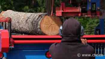 Logging giant Canfor to close 2 more sawmills in B.C. in blow to beleaguered forestry sector