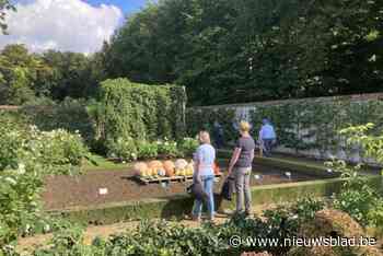 Museumtuin van Gaasbeek gooit zondag de poorten open: “Kom gratis de indrukwekkende siertuin ontdekken”