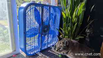 Here's the Quick Trick I Use to Cool My Bedroom Without Blasting the AC