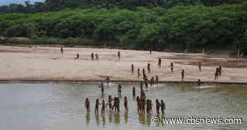 Reclusive tribe kills loggers allegedly encroaching on their land