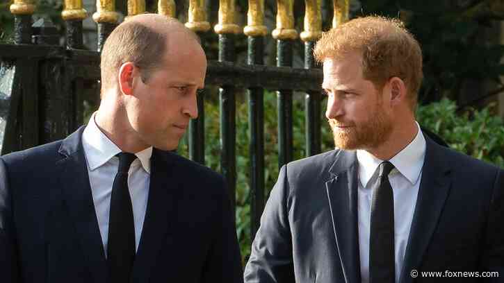 Prince William, Prince Harry feud could finally be resolved thanks to Princess Diana's family: expert