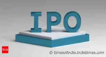 Boss packs ₹1,000cr punch in ₹8cr IPO