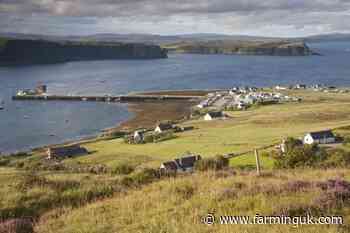 Scottish government to proceed with plans to modernise crofting