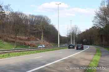 Boslaan verzakt bij werken ecoduct: verkeer in beide richtingen tijdelijk over 1 rijstrook