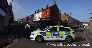 Teenager, 19, arrested on suspicion of conspiracy to murder after schoolboy stabbed in chest