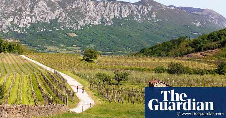 Stars in the east: the shining lights of eastern European wine